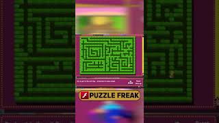 Puzzle Freak  Game of the Day gaming flashgames [upl. by Ronnoc]