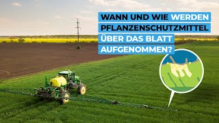 Wann und wie werden Pflanzenschutzmittel über das Blatt aufgenommen [upl. by Hennessy]