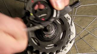 Shimano Nexus Alfine 78 Gear cassette Installing and adjusting [upl. by Emmit697]