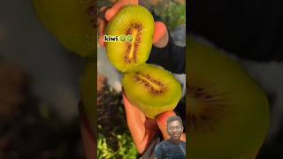 Kiwi fruit cutting and review fruit kiwi kiwifruit funny kiwilove food funnypost whoopee [upl. by Sehguh]