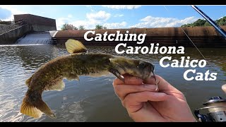 Catching Calico Cats On Jigs BULLHEADS AT THE SPILLWAY [upl. by Battat443]