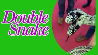 DOUBLE SNAKE [upl. by Savell]