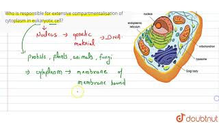 Who is responsible for extensive compartmentalisation of cytoplasm in eukaryotic cell [upl. by Elyrad]