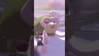 daily shiny hunting clips pokemonlegendsarce [upl. by Jeanna885]