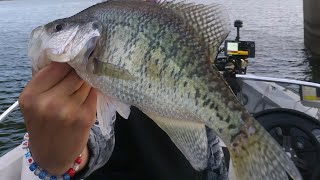 CRAPPIE MADNESS AT SMITHVILLE LAKE [upl. by Fiann]