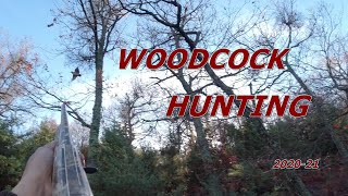 Woodcock hunting  Thrace Greece  20202021  Caccia alla beccacia  Κυνήγι Μπεκάτσας  Çulluk avı [upl. by Chace]