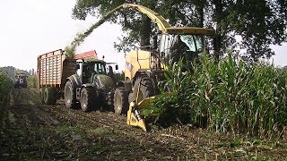 Mais hakselen  Lammertink  Maize  New Holland FR 9060  Valtra T240  Markelo [upl. by Gerianne]