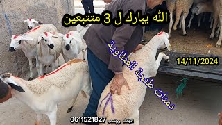 ديما المليح الله يبارك 3 متتبعين زمران العطاوية طنجة بتاريخ 14112024 [upl. by Marcie]