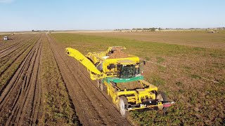 Potato Harvest 2024 Bennen Farms [upl. by Lief]