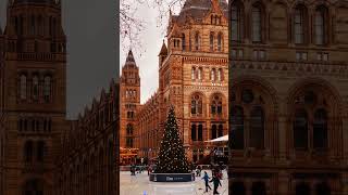 Ice Rink at Natural History Museum christmas uk thetravellersingh shorts viral [upl. by Regnij]