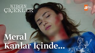 Meral kanlar içinde  Kırgın Çiçekler Mix Sahneler [upl. by Eedyak59]