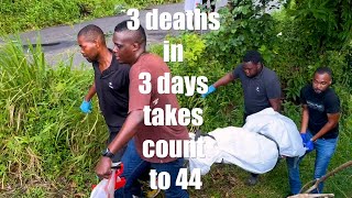 3 killing in 3 days takes count to 44 [upl. by Kelcey445]