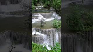 Musique Calme Relaxante  Bruit de la Nature  Relaxation pour se détendre et dormir profondément [upl. by Farand36]