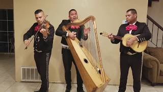 Gema quotMariachi Trio Generacion De Sacramentoquot [upl. by Vickie]