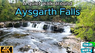 A quiet walk round Aysgarth Falls  Yorkshire Dales  4K  The JD Way [upl. by Nedi]