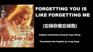 Forgetting You Is Like Forgetting Me 忘掉你像忘掉我 by Faye Wong 王菲  Bride With White Hair II 白髮魔女2 [upl. by Ladnor962]