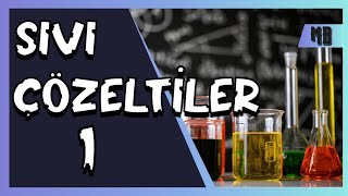 SIVI ÇÖZELTİLER 13  AYT [upl. by Ciprian]