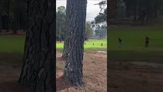 Driveby Golf  Southern Pines Golf Club  Southern Pines NC golf subscribe shorts [upl. by Terry]