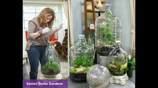 CLOSED TERRARIUM DIY  SEALED BOTTLE GARDENS 🌱 Closed Terrarium Plants 🌿Shirley Bovshow [upl. by Leonsis]