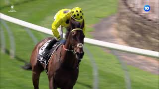 The 2023 Lexus Melbourne Cup  Full Replay [upl. by Aliam]