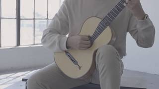 Altamira Vienna Stauffer Guitar  Product Demonstration [upl. by Soigroeg]