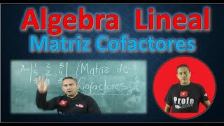 Matriz de Cofactores Determinante de una matriz Matriz de cofactores 3 x 3 [upl. by Argyle]