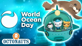 ​Octonauts  🌎 World Ocean Day 3 Hour Special 🌊  180 Mins Compilation  Underwater Sea Education [upl. by Dahsra]