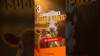 3 curiosidades sobre o abate de animais Você ja conhecia alguma medvet abate produçãoanimal [upl. by Nedrah541]