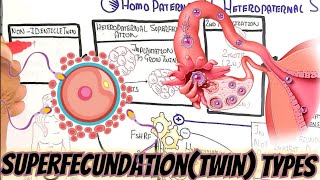 SuperfecundationTwinHomo Vs Heteropaternal umerfarooqbiology7083 [upl. by Brott93]