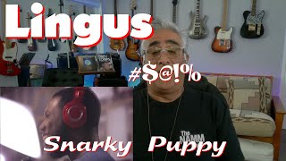 MusicianProducer Reacts to quotLingusquot by Snarky Puppy [upl. by Dat877]