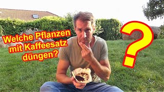 Diese Pflanzen lieben Kaffeesatz als Dünger Düngen mit Kaffee im Garten [upl. by Nylimaj889]