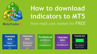 How to Download indicators on MT5 for FREE MT5 indicators [upl. by Olleina695]