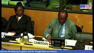 Day Two of the UN Committee Review on Torture  Cameroon [upl. by Hanzelin]