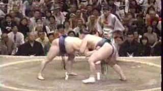 Hakuho vs Tokitenku Day 11 [upl. by Anitnoc519]