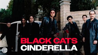 Black Cats CINDERELLA Mix [upl. by Farand244]