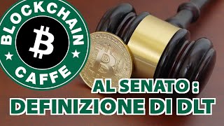 Senato la definizione di DLT  Blockchain Caffe [upl. by Duahsar]