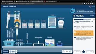 Restriction Enzyme Digest  LabXchange  Ceydy Lazo [upl. by Yecniuq103]