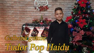 Tudor Pop Haidu  Galbena gutuie Cover Nica Zaharia [upl. by Oiluig]