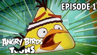 Angry Birds Toons  Chuck Time  S1 Ep1 [upl. by Alcock706]