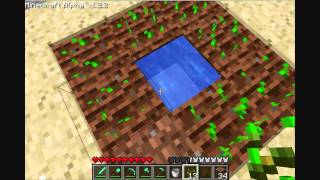 MineCraft Tutorial How to plant amp grow crops [upl. by Aniham]