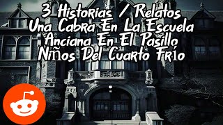 3 Historias  Relatos Una Cabra En La Escuela Anciana En El Pasillo y Niños Del Cuarto Frío 43 [upl. by Nitza]