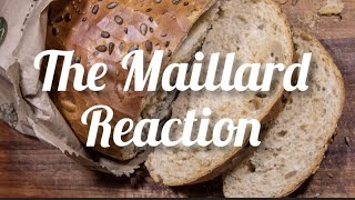 What is Maillard Reaction  Mechanism of Maillard Reaction maillardreaction [upl. by Supple395]