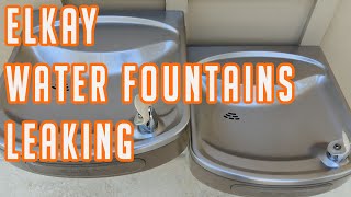 Elkay Water Fountain Leaking [upl. by Ahsa]