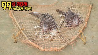 Amazing hunting Bird।ঘুঘু পাখি ধরার সহজ ফাঁদ । পাখি শিকার।পাখি মারার ফাঁদ তৈরি। ময়না [upl. by Ynna]