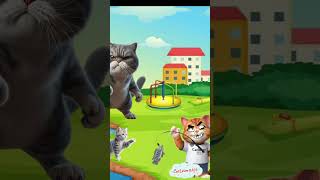 Suspicious fish for cats trendingshorts cuteecats shortsvideo meowmemes [upl. by Augy]