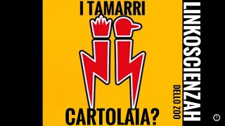 I Tamarri Cartolaia Hai gli scherzi di CarnevalA [upl. by Osswald77]