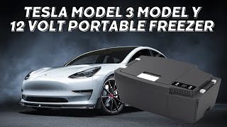 Tesla Model 3 Model Y Refrigerator [upl. by Nwahsal]