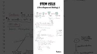 Stem cells  Stem cells Developmental Biology  Genomic equivalence and the cytoplasmic determinants [upl. by Niamjneb916]