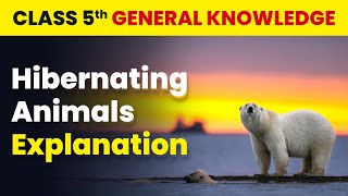 Hibernating Animals  Explanation  Class 5 General Knowledge  CBSE 202425 [upl. by Ecnatsnok]