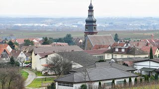 Heimatort der Großeltern Keine TrumpEuphorie mehr in Kallstadt [upl. by Marquis]